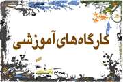 کارگاه"آشنایی با قوانین و شرکت های دانش بنیان و مراکز رشد"در دانشکده بهداشت برگزار شد